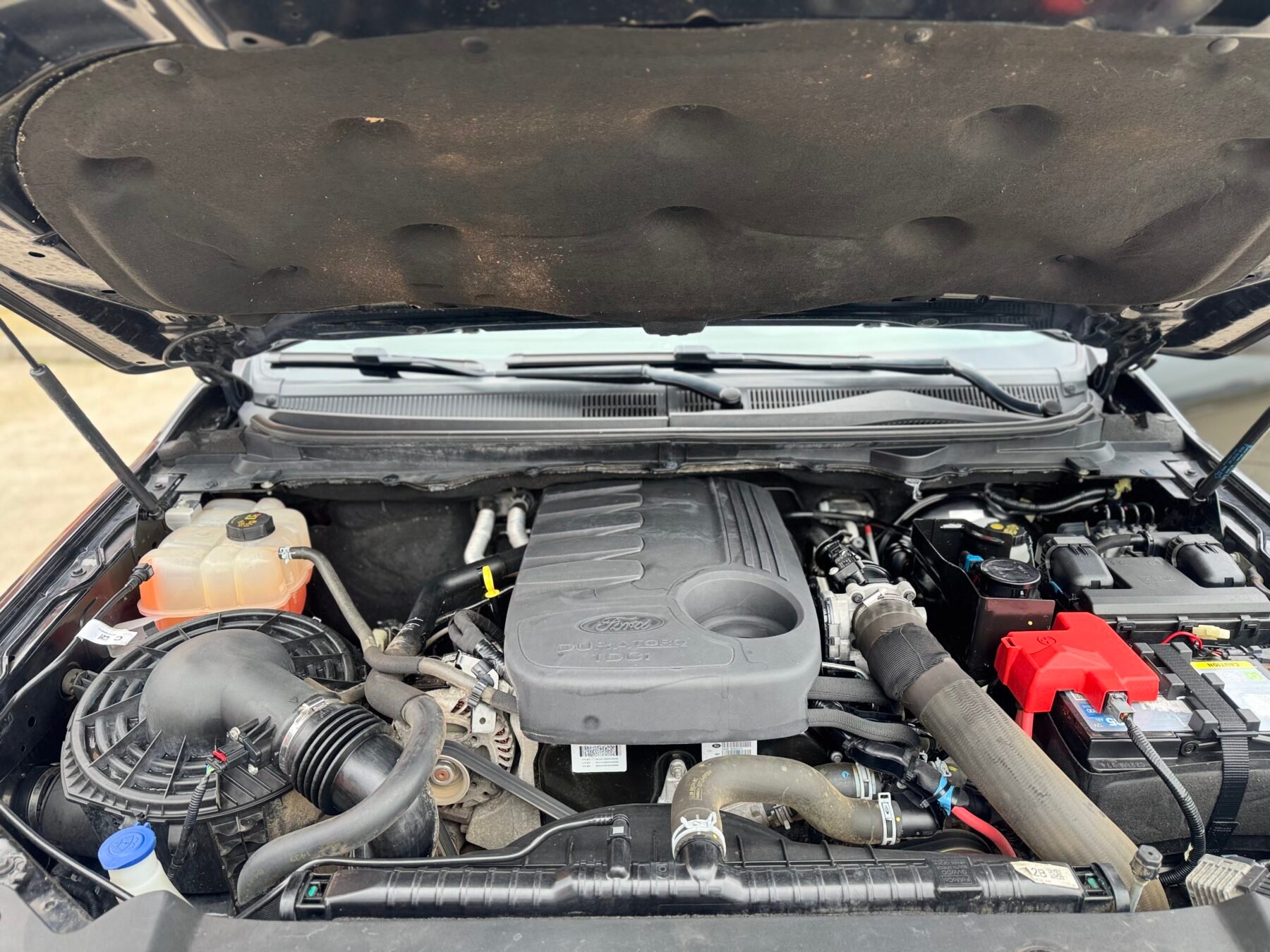 FORD RANGER Wildtrack